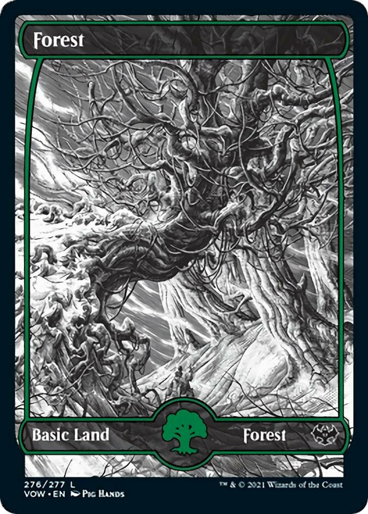 Forest (276) [VOW - 276]
